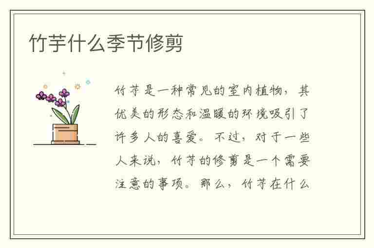 竹芋什么季节修剪(竹芋什么季节修剪最好)